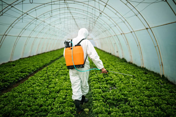 Best Pest Prevention Services  in Mishawaka, IN