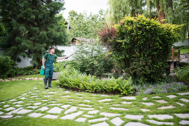 Best Wasp Removal Services  in Mishawaka, IN