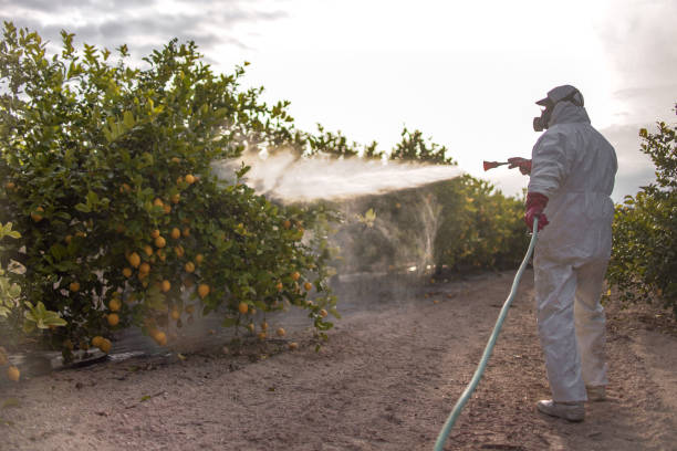 Best Best Pest Control Near Me  in Mishawaka, IN